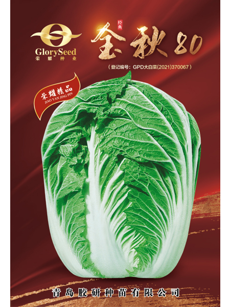 荣耀种业--金秋80——秋播白菜